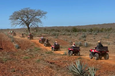 Esplora i campi di agave di mazatlán in atv, vivi una tradizionale sauna temazcal e assaggia il mezcal con una guida locale. pranzo e pick-up in hotel inclusi.