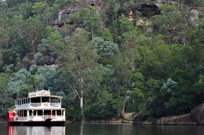 Descubre el desfiladero nepean en un paddlewheeler en blue mountains, observa la fauna local y disfruta un almuerzo fresco de dos platos a bordo. reserva tu crucero por el río ahora.