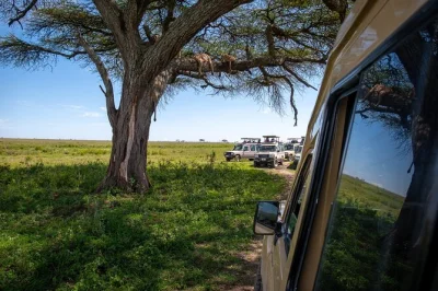 Partez en safari en groupe à serengeti et ngorongoro avec guide local, matériel de camping et repas inclus. réservez dès maintenant avec prise en charge à arusha.